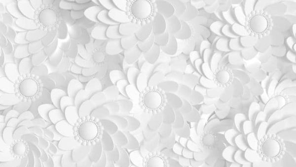 Fototapeta Beautiful, Elegant Paper Flower In The Style Of Hand-Made On A White Wall. 3D