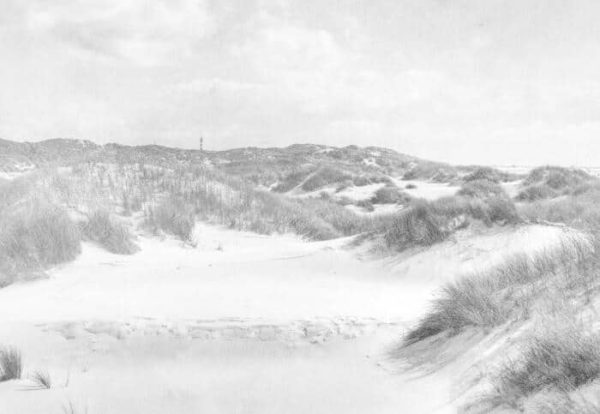 Fototapeta Dune Paradise Faded Vintage W Czerni I Bieli