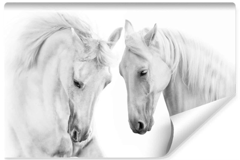 Fototapeta Dwa Białe Konie 3D