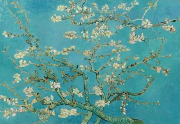 Fototapeta Kwiaty Van Gogha W Kolorze Turkusowym