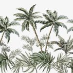 Fototapeta Palmy I Tropikalne Rośliny