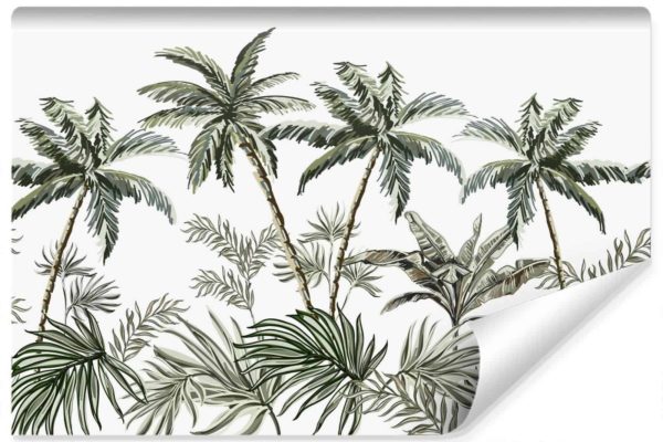 Fototapeta Palmy I Tropikalne Rośliny