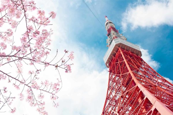 Fototapeta Tokyo Tower Na Tle Nieba