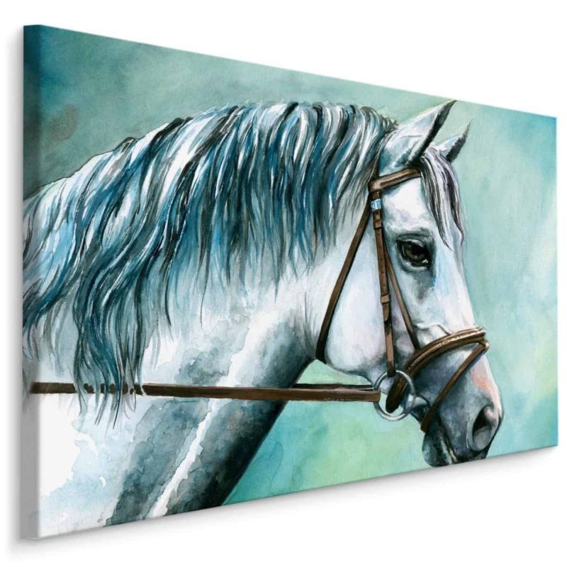 Obraz Na Płótnie Biały Koń Jak Malowany