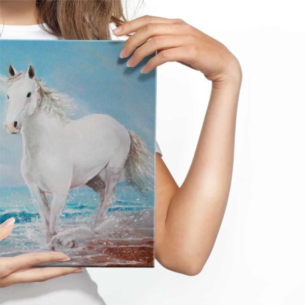 Obraz Na Płótnie Biały Koń Na Brzegu Morza