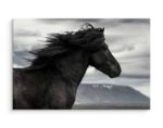 Obraz Na Płótnie Czarny Koń Na Tle Chmur