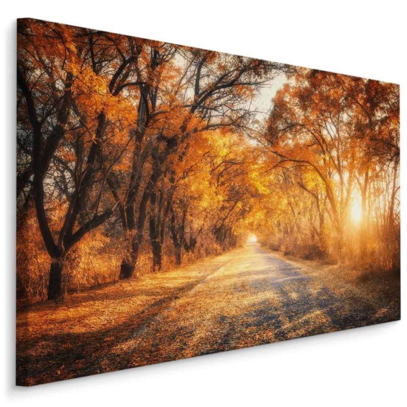 Obraz Na Płótnie Droga W Jesiennym Lesie 3D