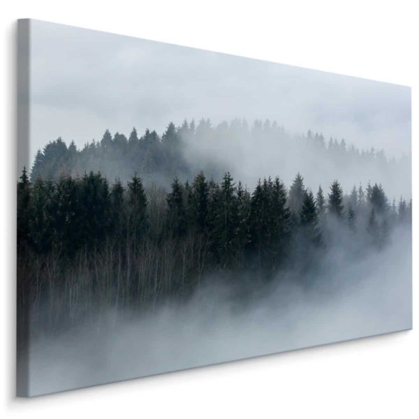 Obraz Na Płótnie Drzewa Owiane Mgłą