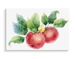 Obraz Na Płótnie Jabłka Malowane Akwarelą