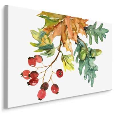 Obraz Na Płótnie Jesienne Liście I Owoce Malowane Akwarelą