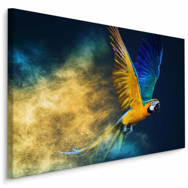 Obraz Na Płótnie Kolorowa Papuga Ara