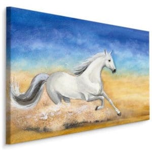 Obraz Na Płótnie Koń Galopujący Na Pustyni