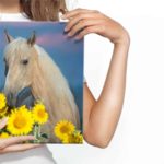 Obraz Na Płótnie Koń I Słoneczniki