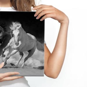 Obraz Na Płótnie Konie W Czarno-Białej Odsłonie
