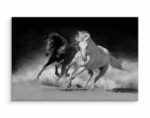 Obraz Na Płótnie Konie W Czarno-Białej Odsłonie