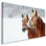 Obraz Na Płótnie Konie W Śniegu