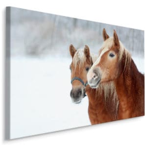 Obraz Na Płótnie Konie W Śniegu