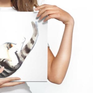 Obraz Na Płótnie Kot Malowany Akwarelą