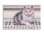 Obraz Na Płótnie Kot Na Pianinie