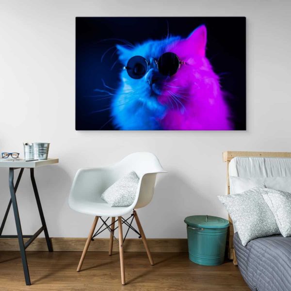 Obraz Na Płótnie Kot W Okularach Przeciwsłonecznych