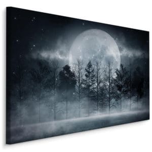 Obraz Na Płótnie Księżyc W Pełni W Zamglonym Lesie