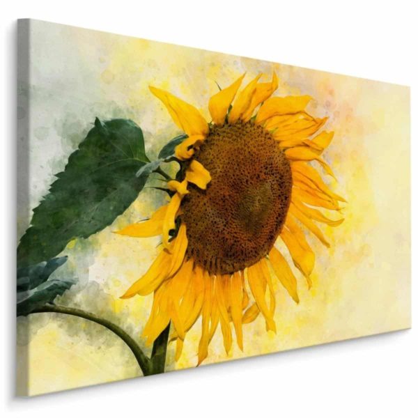 Obraz Na Płótnie Kwiat Słonecznika Malowany Akwarelą