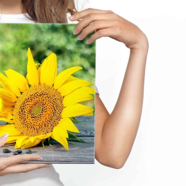 Obraz Na Płótnie Kwiat Słonecznika Z Nasionami I Olejem