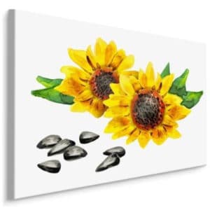 Obraz Na Płótnie Kwiaty I Nasiona Słonecznika Jak Malowane