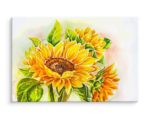 Obraz Na Płótnie Kwiaty Słonecznika Malowane Akwarelą