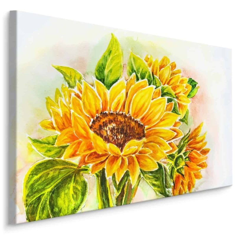Obraz Na Płótnie Kwiaty Słonecznika Malowane Akwarelą