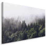 Obraz Na Płótnie Las Owiany Mgłą
