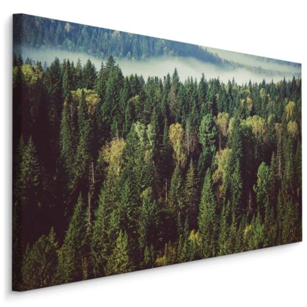 Obraz Na Płótnie Las Z Mgłą W Tle
