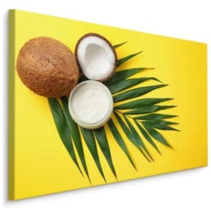 Obraz Na Płótnie Liść I Owoc Kokosa