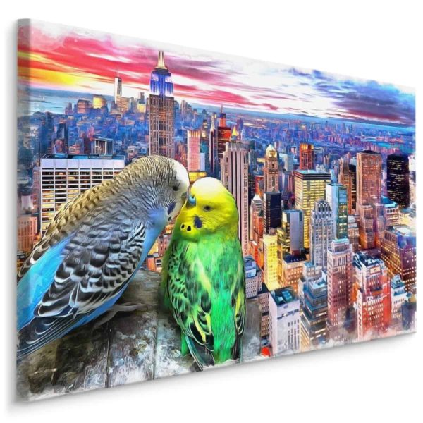 Obraz Na Płótnie Papużki Faliste Na Tle Nowego Jorku