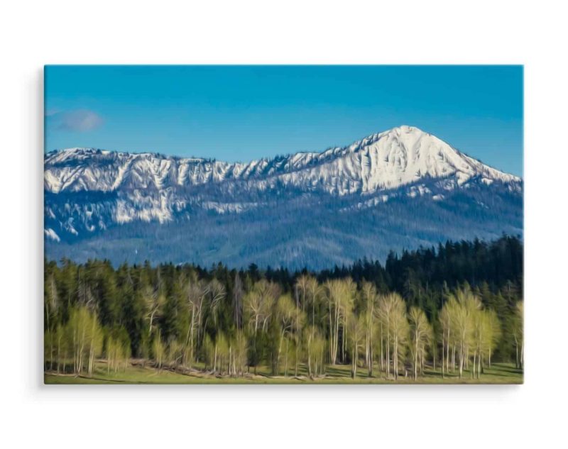 Obraz Na Płótnie Park Narodowy Grand Teton W Usa