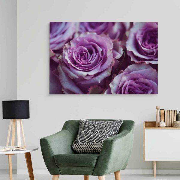 Obraz Na Płótnie Piękne Fioletowe Róże
