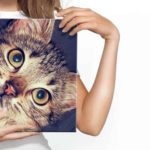 Obraz Na Płótnie Piękny Koci Portret Jak Malowany