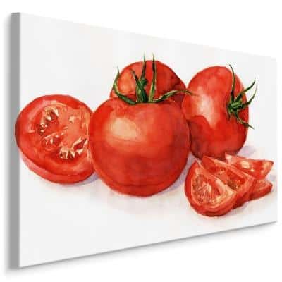 Obraz Na Płótnie Pomidory Malowane Akwarelą