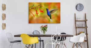 Obraz Na Płótnie Ptak Koliber I Kwiaty