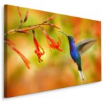 Obraz Na Płótnie Ptak Koliber I Kwiaty