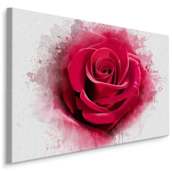 Obraz Na Płótnie Róża Z Bliska Jak Malowana