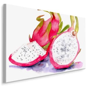 Obraz Na Płótnie Smoczy Owoc Malowany Akwarelą