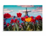 Obraz Na Płótnie Tulipany Na Tle Holenderskiego Wiatraka