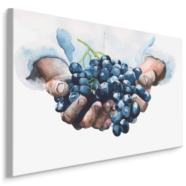 Obraz Na Płótnie Winogrona W Dłoniach