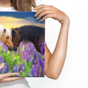 Obraz Na Płótnie Zakochane Konie W Kwiatach