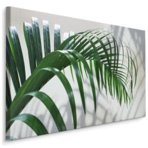 Obraz Na Płótnie Zielony Liść Palmowy Z Efektem 3D