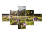 Obraz Wieloczęściowy Dolina Chochołowska W Tatrach 3D