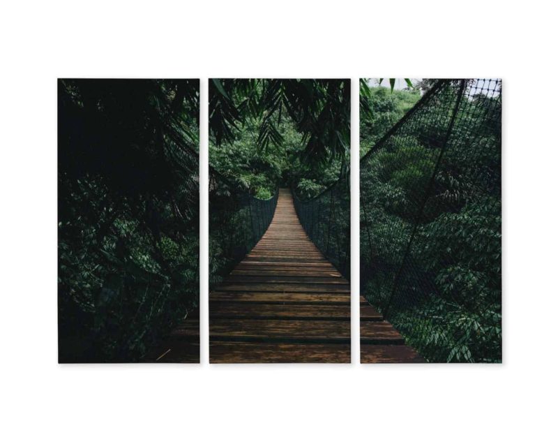 Obraz Wieloczęściowy Drewniany Most Wiszący W Lesie