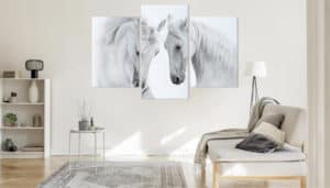 Obraz Wieloczęściowy Dwa Konie Na Białym Tle