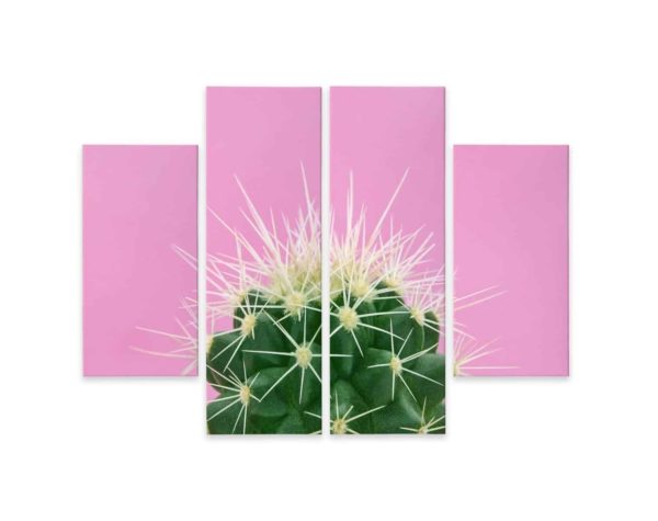 Obraz Wieloczęściowy Kaktus Na Różowym Tle
